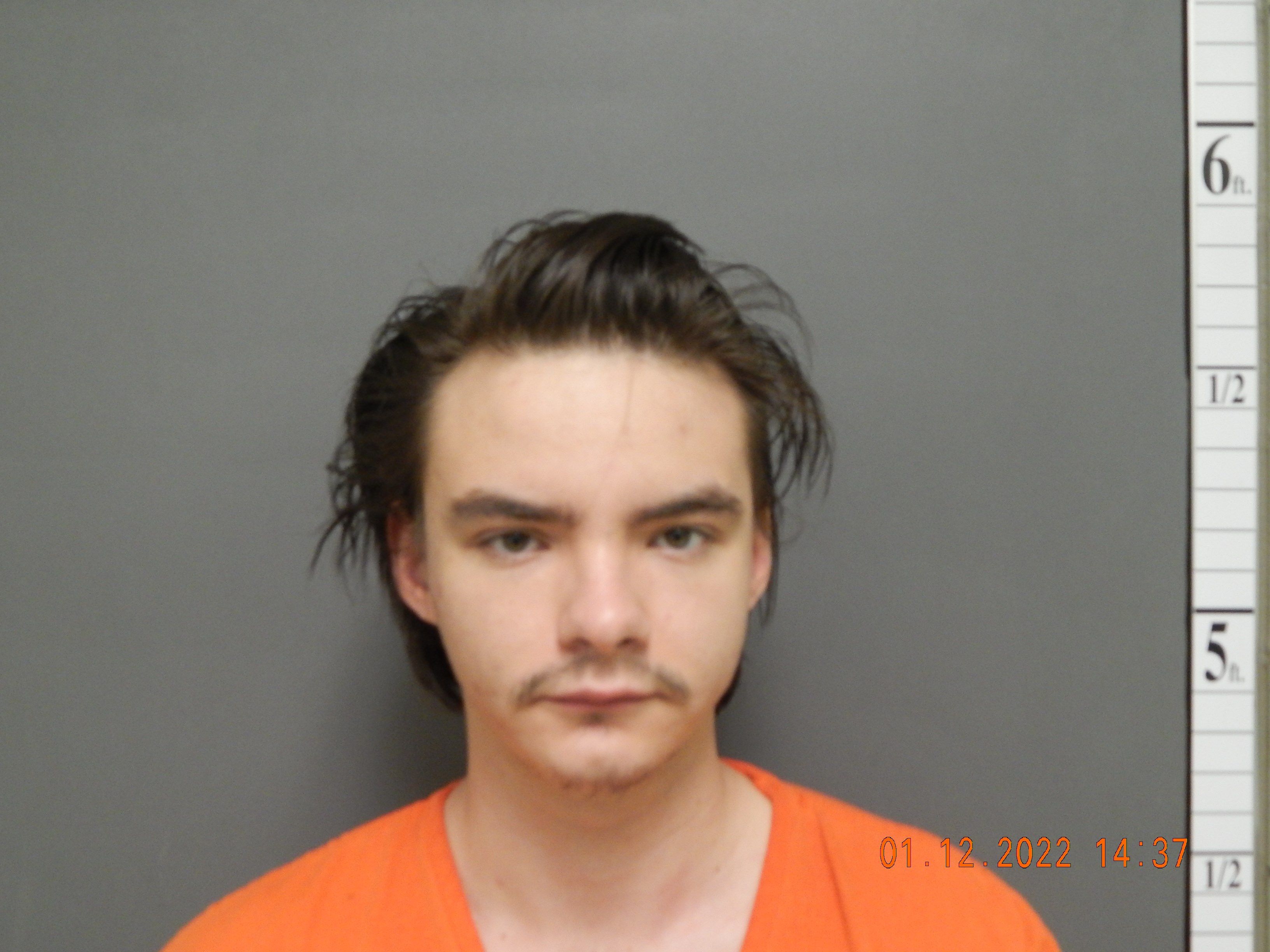 Sidney man facing charges after disturbance reported New Years Day