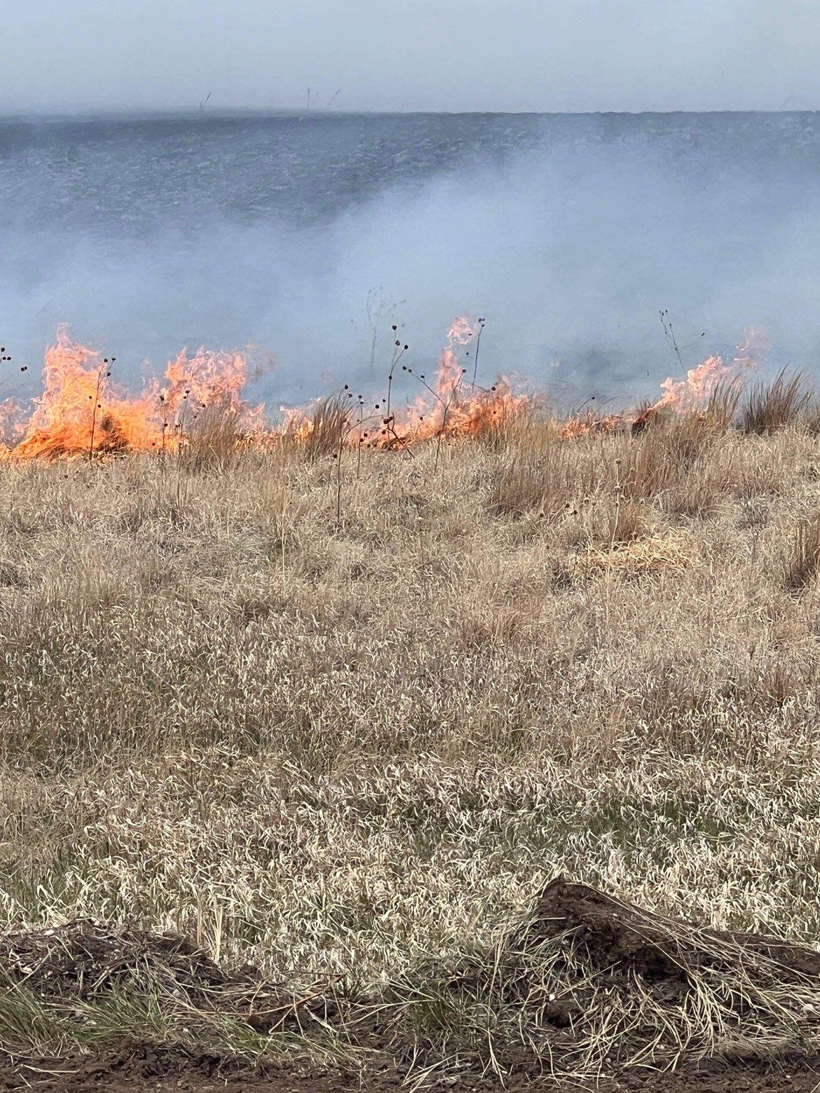 Photo Courtesy: Nathan Morgan