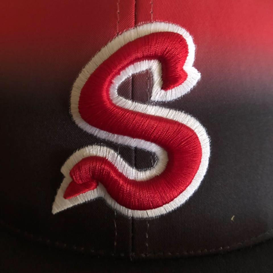 Sidney Seniors Spit Doubleheader at Buckley - Vimarsana News