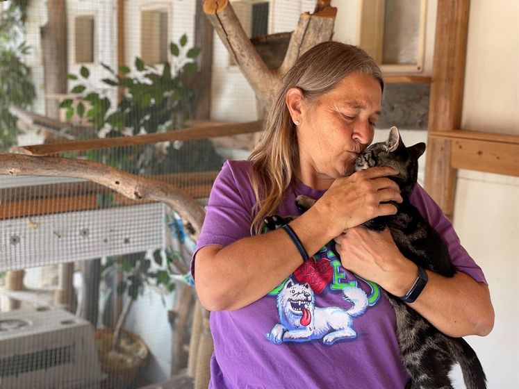 Terry Duffield holds one of the 16 cats available for adoption in the new "catio" at Adopt-a-Dog in Chappell. Duffield announced she'll be leaving animal shelter at the end of the year.