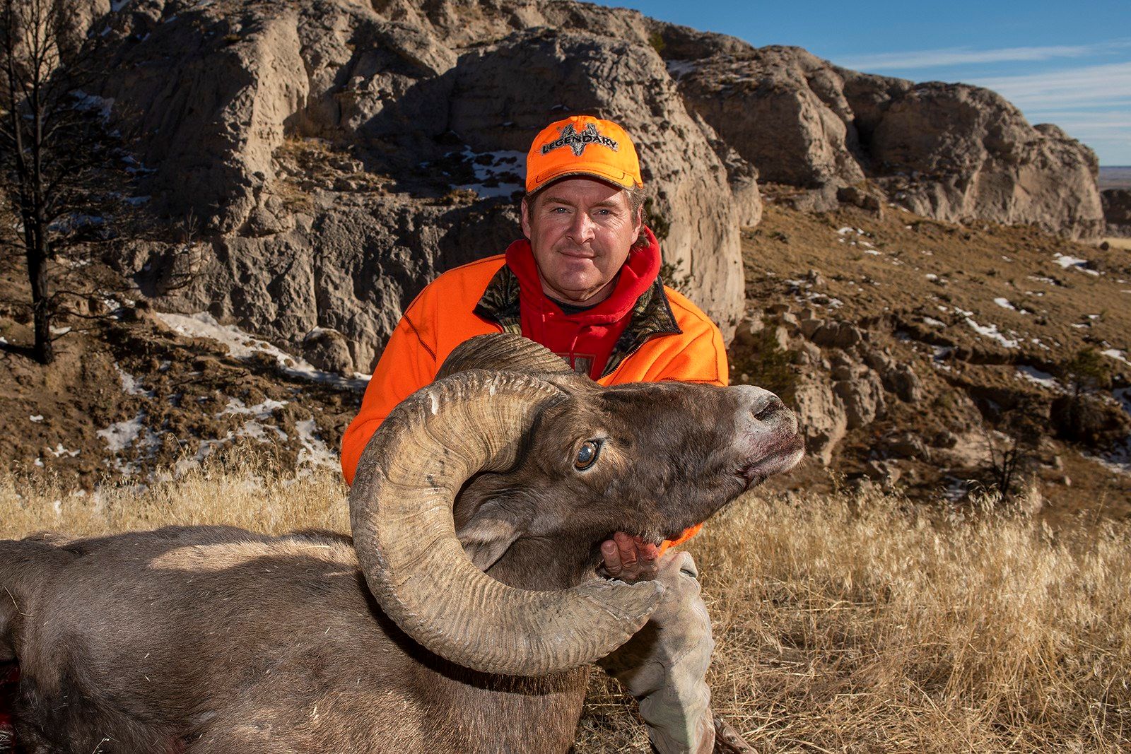 Caution: Big Horn Sheep Ahead. Near Basalt, Colorado, United States. :  r/hiking, image size:1600x1067