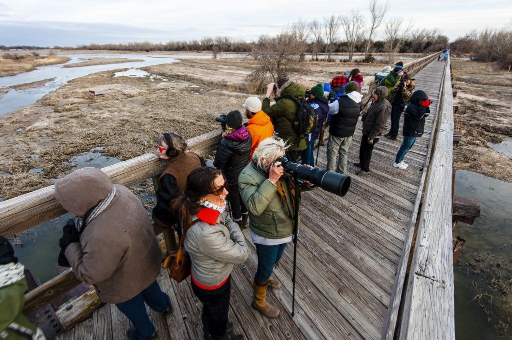 People watch and photograph sandhill cranes from the Fort Kearny Hike-Bike Trail bridge over the Platte River at Fort Kearny State Recreation Area in Buffalo County.