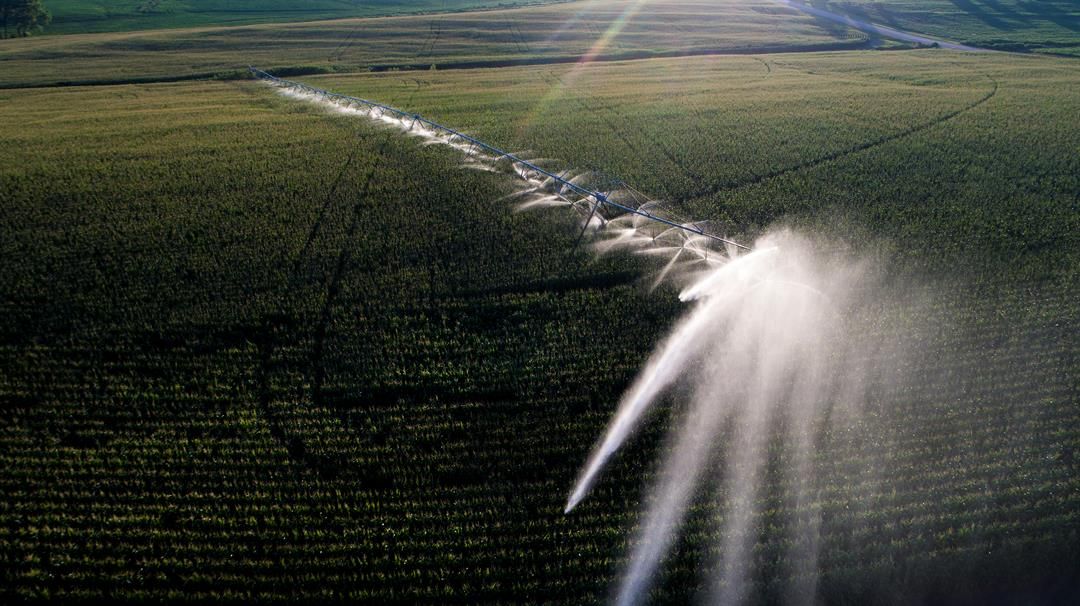 Center pivot irrigation northeast of Adams, Nebraska. In most of Nebraska, water levels in the Ogallala Aquifer are steady or rising.