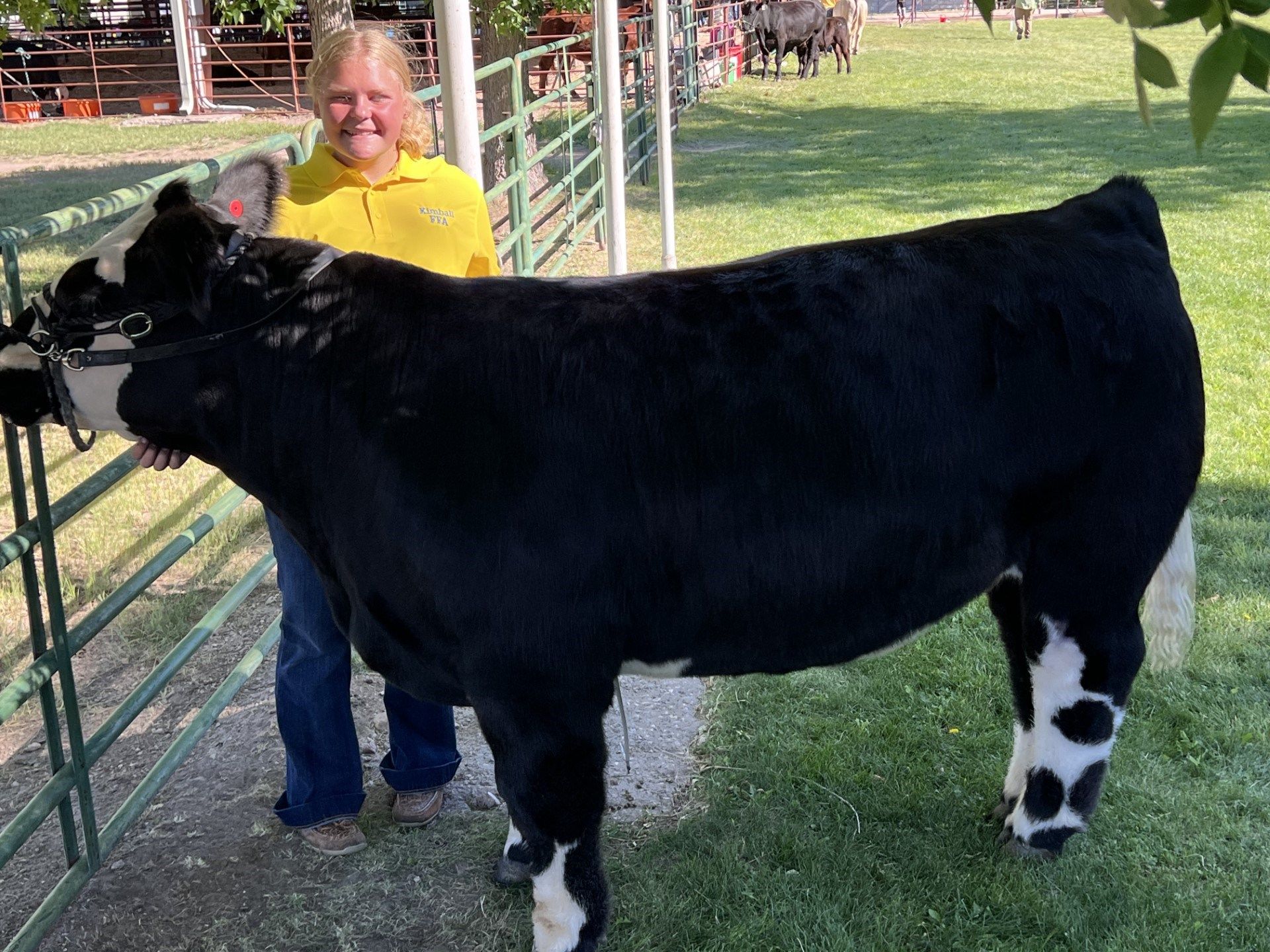 Day of KimballBanner County fair judging starts off with a grand