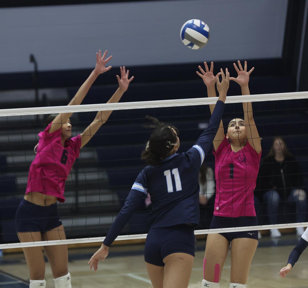 Skyhawks volleyball picks up six on National Signing Day - Fort Lewis  College Athletics