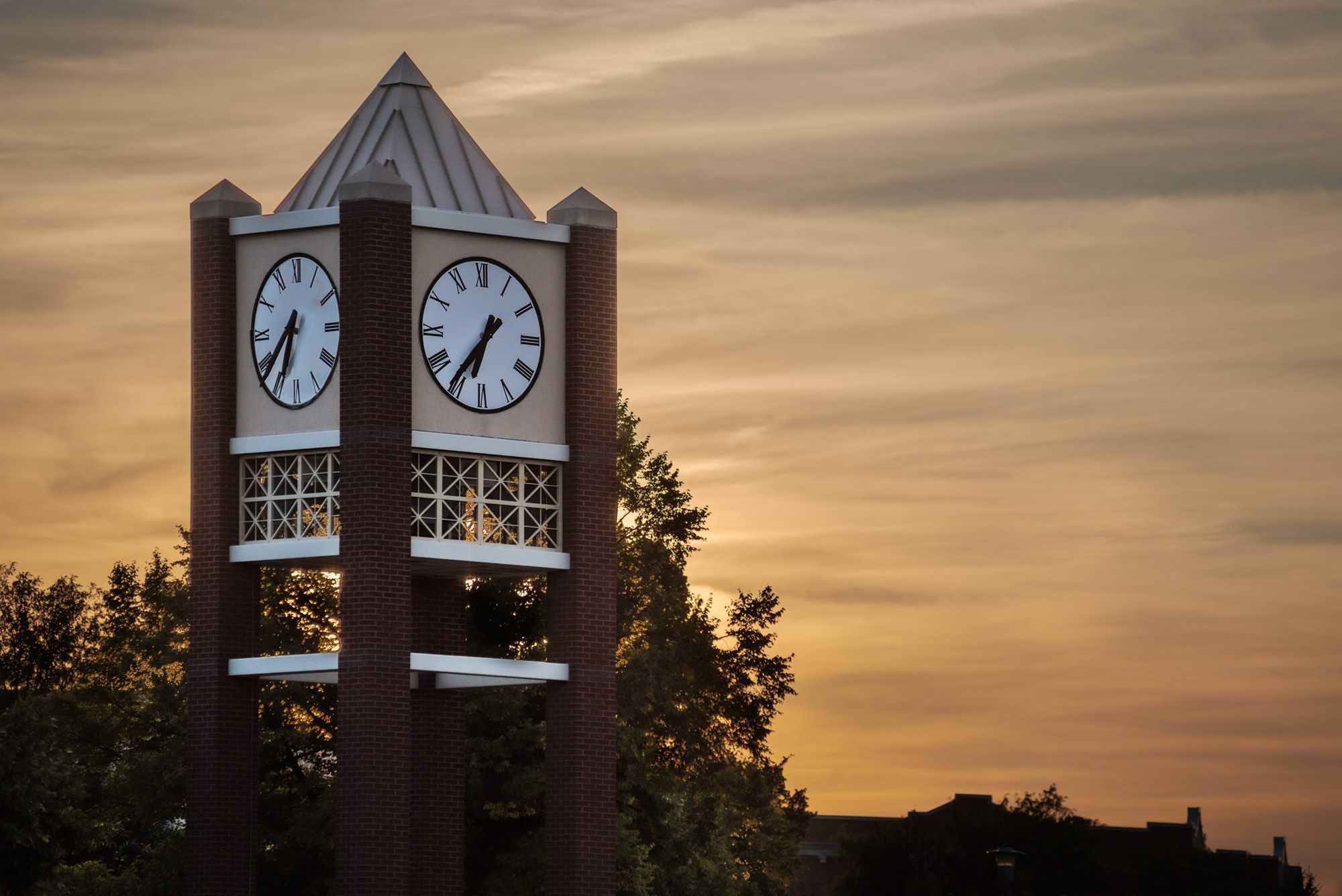 CSC alum receives NSCS’s Counseling Excellence award