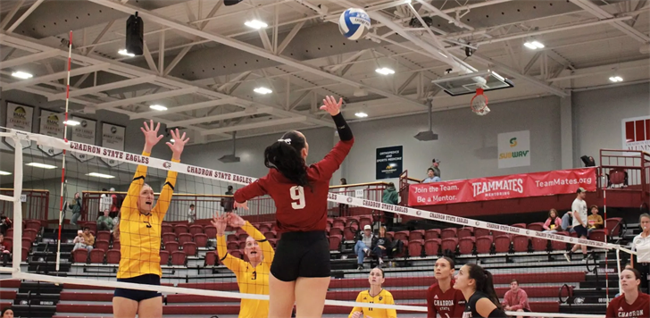 Eagles go five sets with Regis