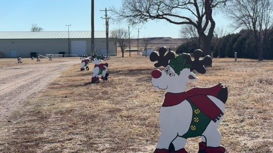 'All Is Bright' indoor Christmas experience starts November 29