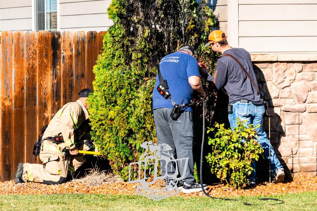 Fire quickly contained after landscaping tree ignites in Sidney