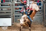 As pro rodeo considers moving HQ to Wyoming, conservative lawmakers question incentives